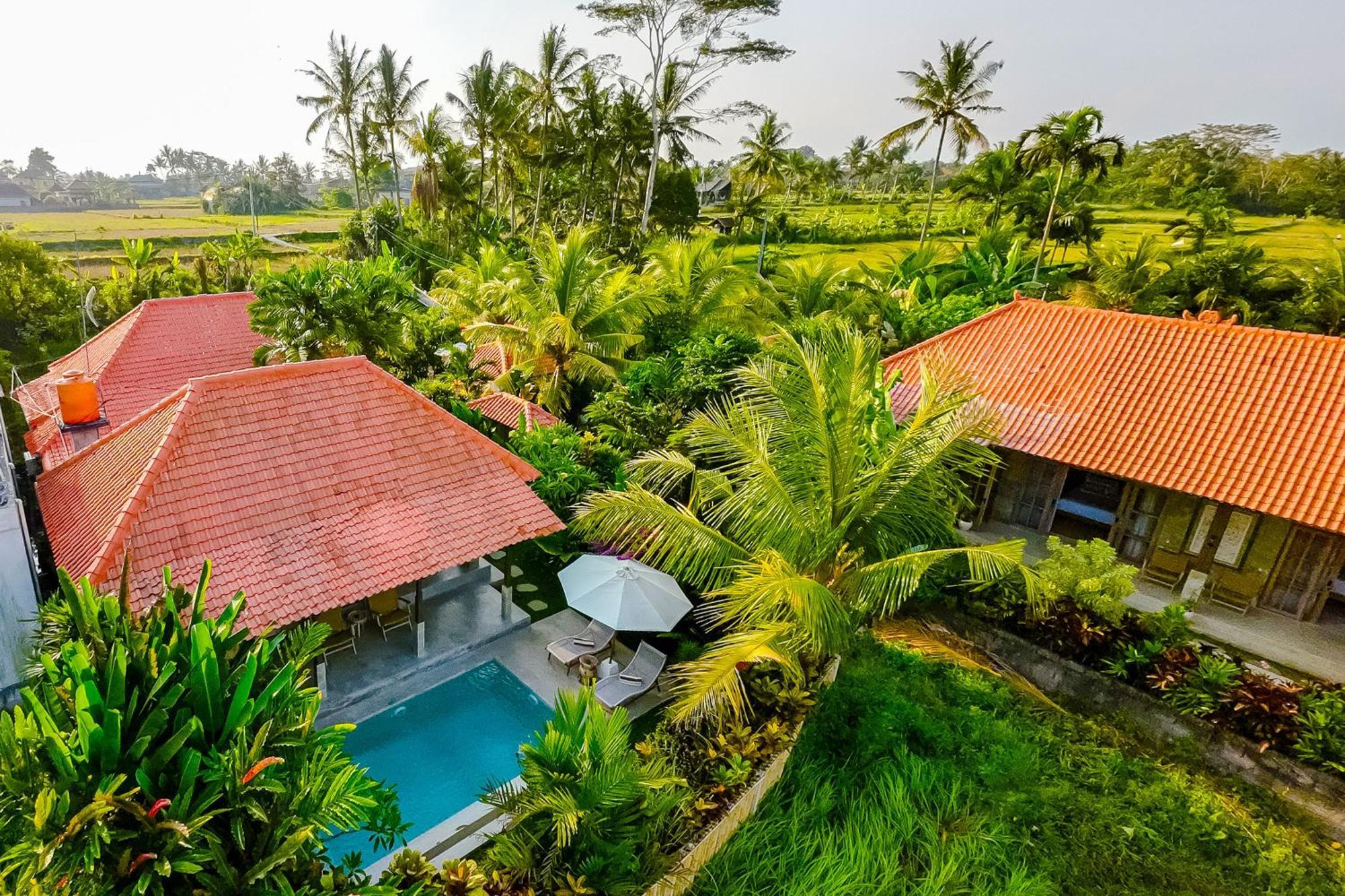 Nyaman Villas By Evdekimi Ubud Kültér fotó