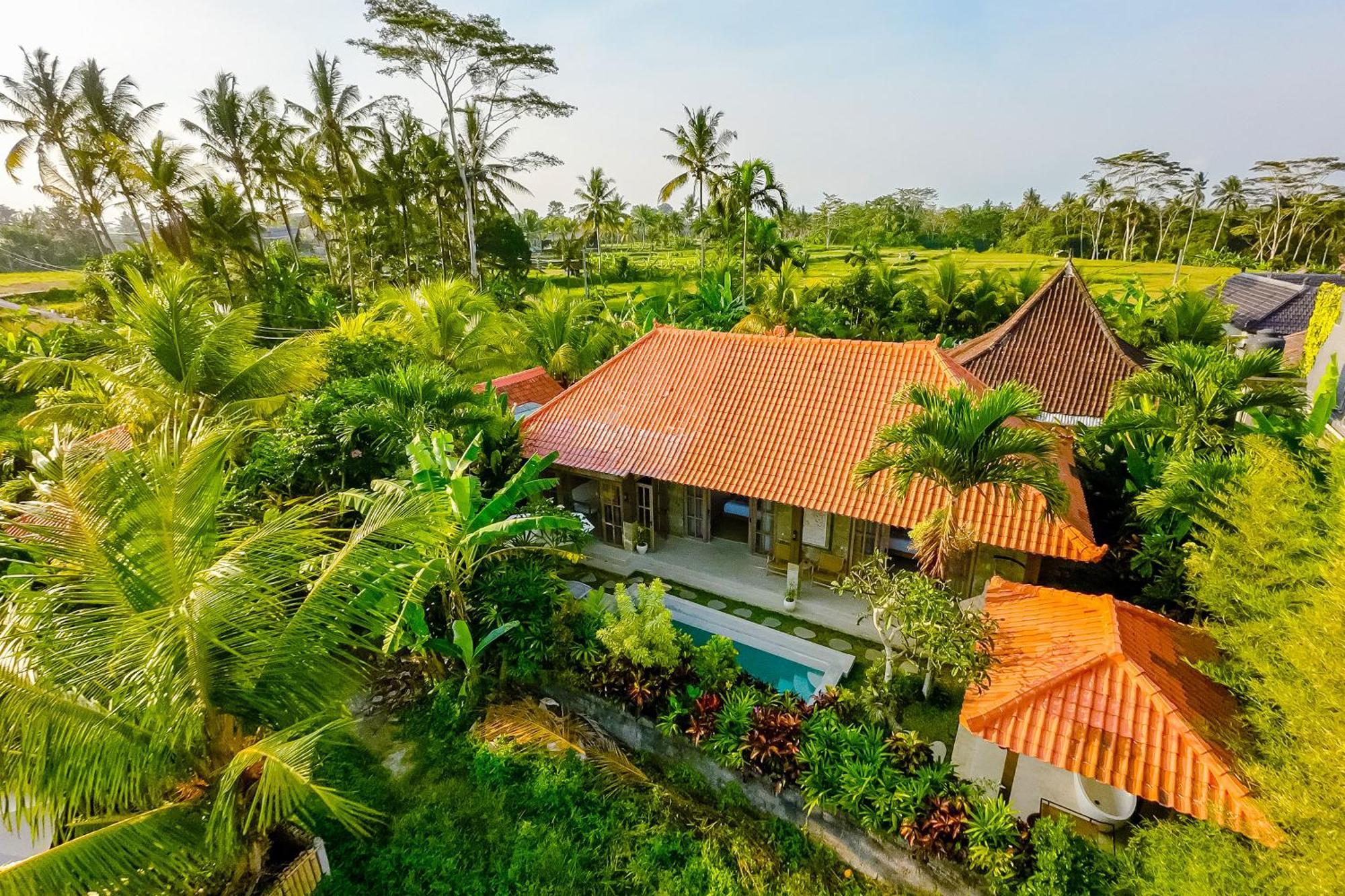 Nyaman Villas By Evdekimi Ubud Kültér fotó
